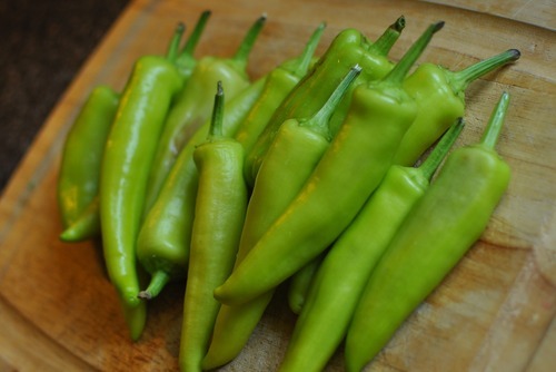 Hungarian wax peppers recipe with tomato sauce and cheese