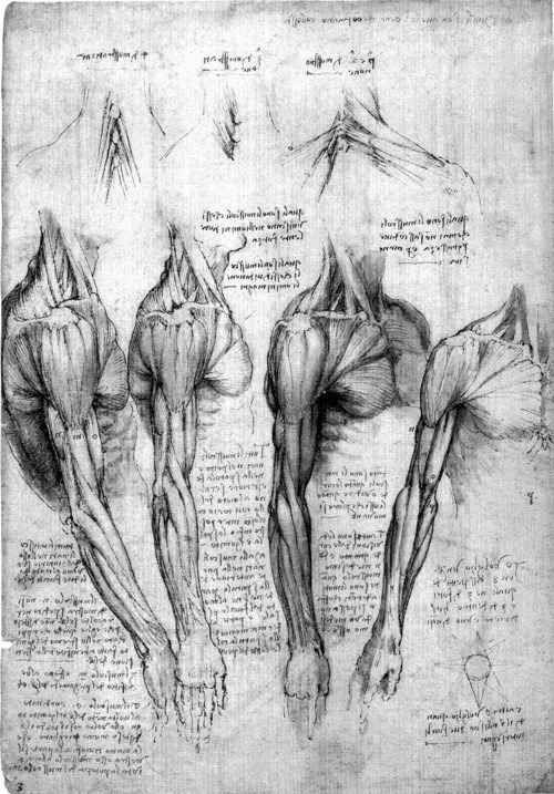 Figure Drawing & Anatomy For The Artist Pdf