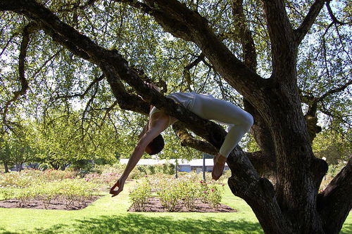 A modern dancer doing a back bend in a tree