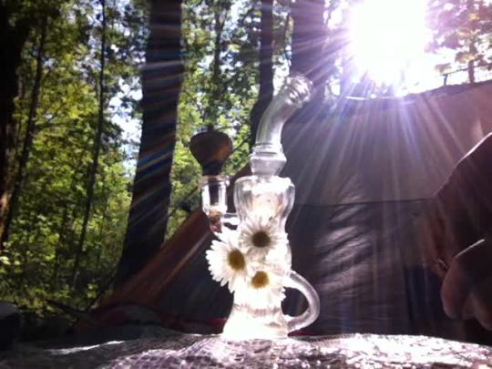 that-deadhead: stoner-vogue:  royallyoily:  Camping bong tokes.  Omg can i come next time? ??  this is such a beautiful video 