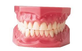Dentures that look natural teeth