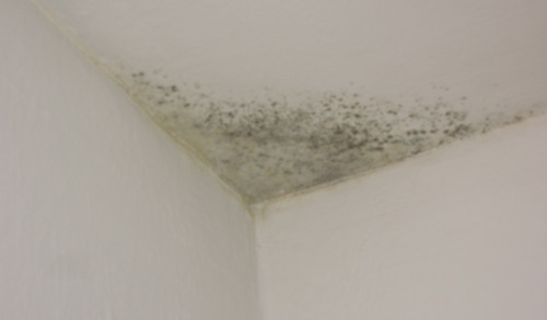 Water Stains on Walls