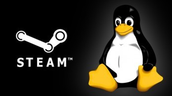 ”valve-confirms-linux-steam-box-for-2013-console-gaming”