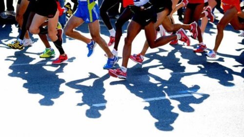 InsideTracker blood analysis benefits for marathon runners