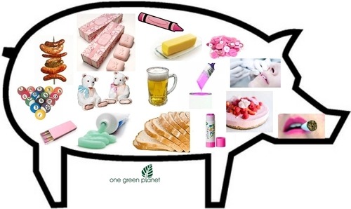 pig by products