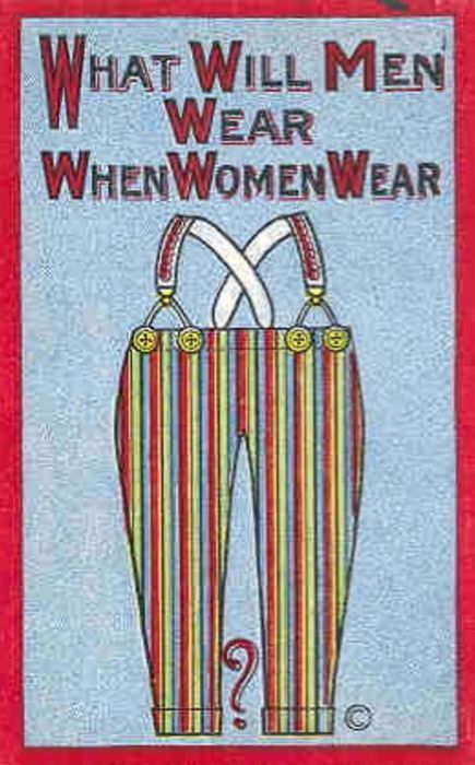 Anti-Suffrage Propaganda Posters Who Will Wear The Pants