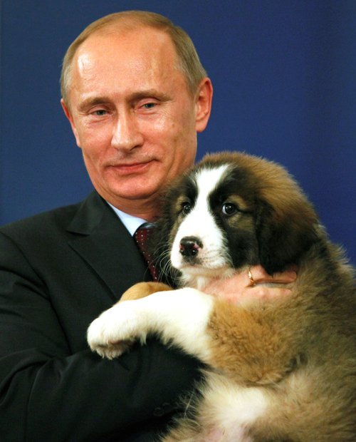 Vlad Putin Cuddles with a puppy dog