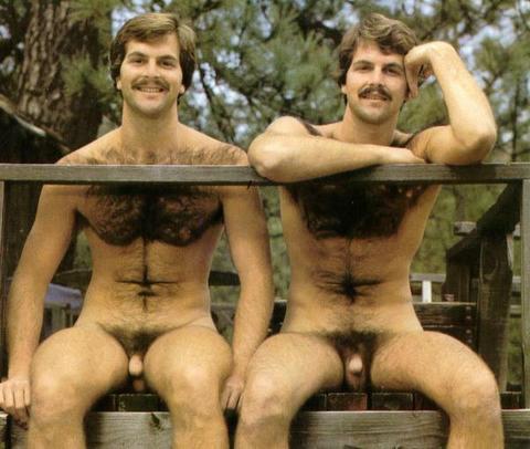 Gay twin brothers having sex