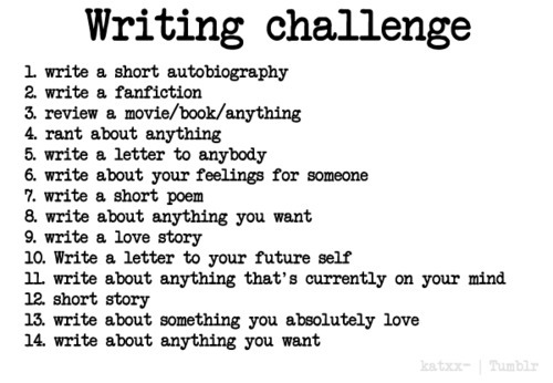 write a novel in 30 days challenge