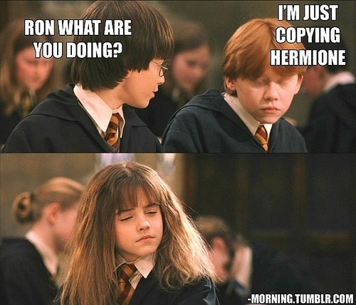 Harry potter and hermione memes