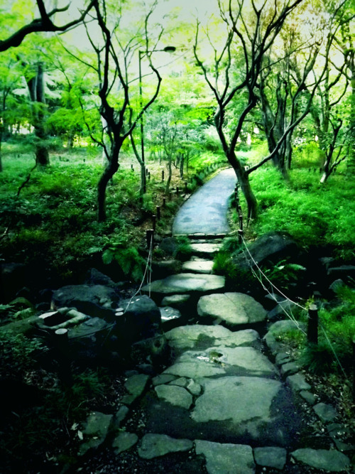 Path through Kitanomaru-koen