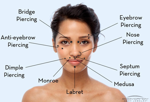 Facial Piercing Types 11
