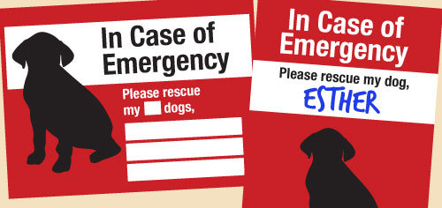 Emergency case
