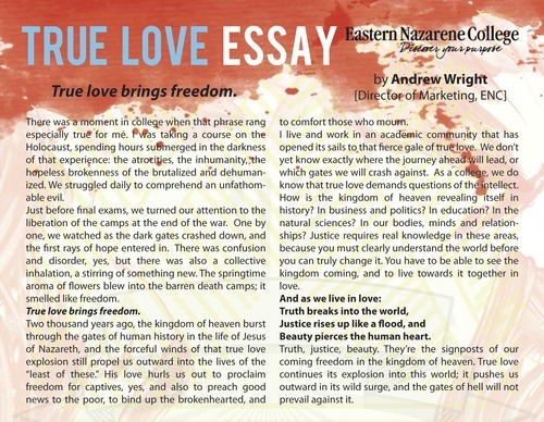 Sample essay about love
