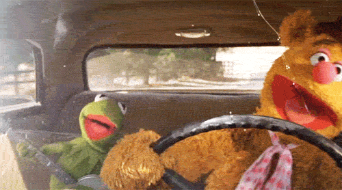 the muppets gif