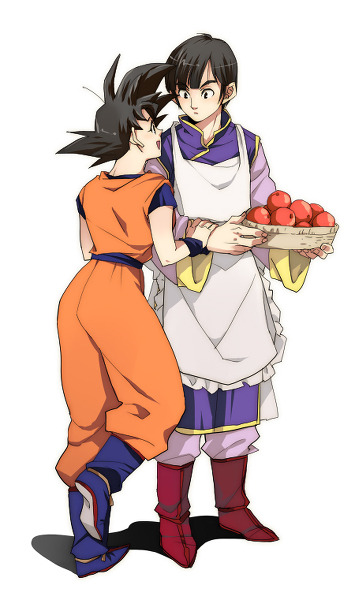 Goku and chi chi dbz