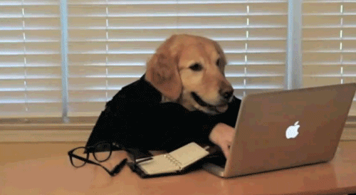 johnny depp dog typing gif | WiffleGif