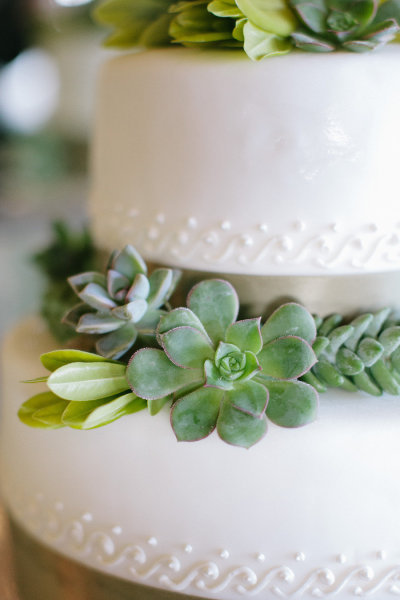 décoration mariage succulentes cactus plantes grasses